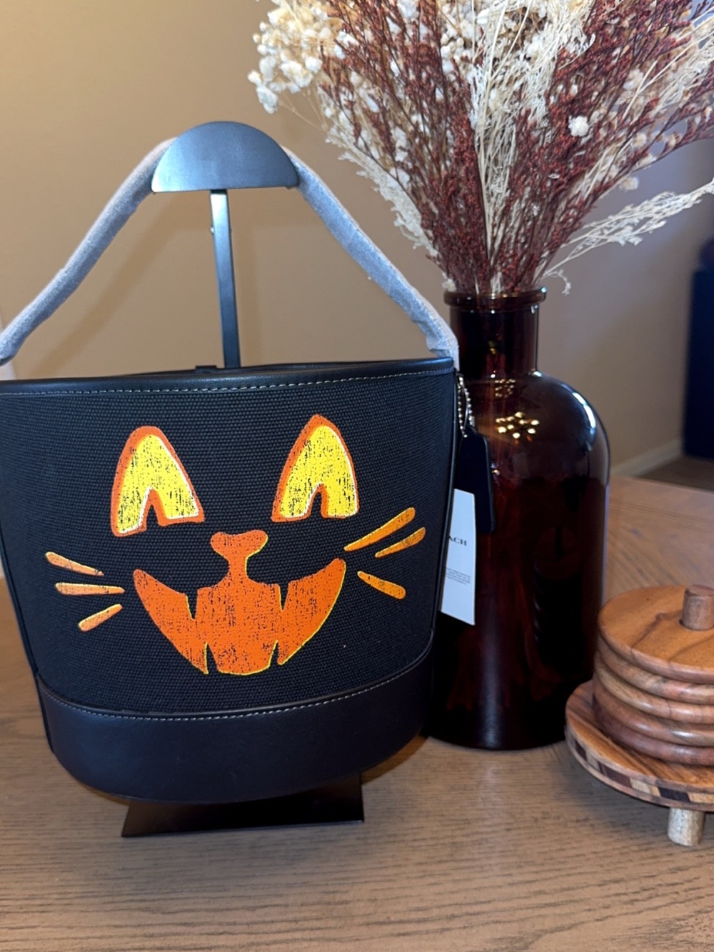 Coach Trick or Treat Bucket - Scary Cat